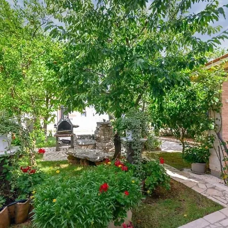 Katrina Apartamento